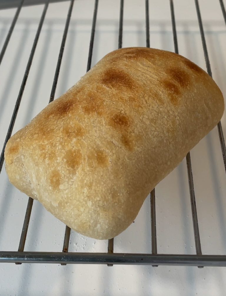 Panini