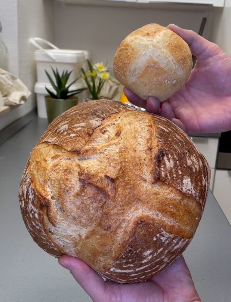 Brot und Brötchen aus einem Teig